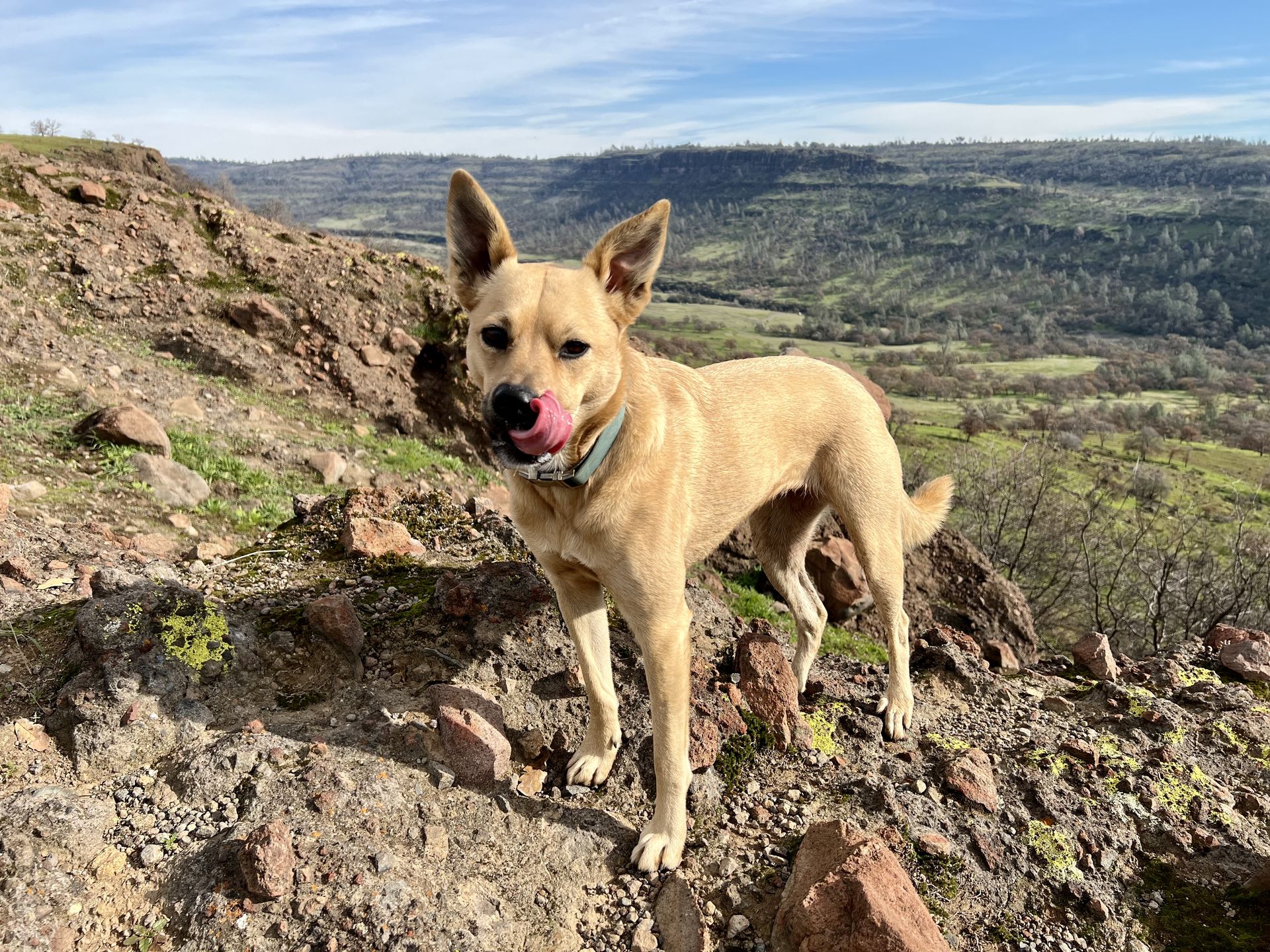 Posey on the edge of a rocky outcrop