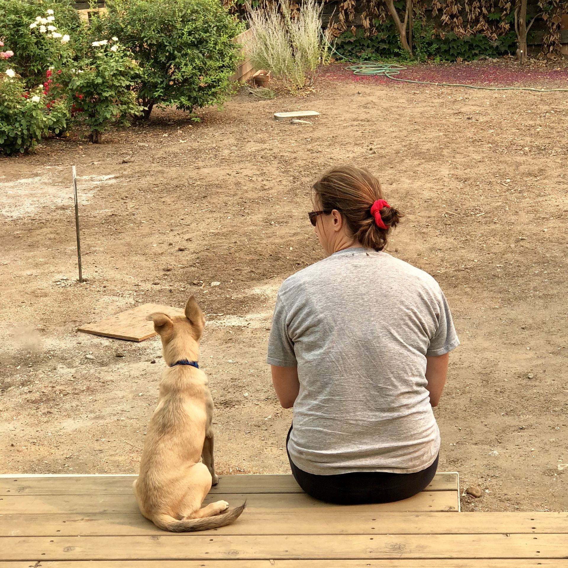 Posey sitting beside someone, looking out over a dirt yard
